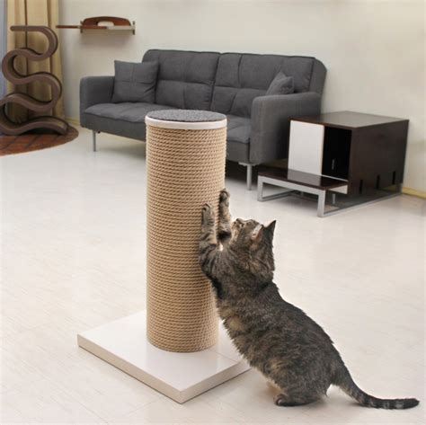 Cat scratch post amazon - Cat Scratching Post with 4.1“Diameter Bold, Natural Sisal Rope Scratch Post with 3 Hanging Toy Ball and Soft Plush Base Claw Scratcher Posts for Indoor Cats and Kittens. 17. $1799 ($17.99/Count) List: $22.99. Join Prime to buy this item at $16.19. FREE delivery Wed, Sep 20 on $25 of items shipped by Amazon. 